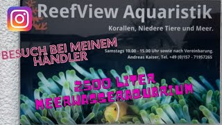 Mega Aquarium 2500 Liter Meerwasseraquarium Besuch bei Reefview in Rauenberg [upl. by Trix922]