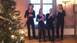 Woodpeckers play Bach Die Kunst der Fuge [upl. by Lordan]