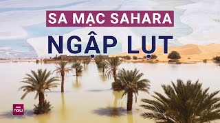 Sa mạc Sahara  nơi khô cằn nhất thế giới  lại ngập lụt bất thường Nguyên nhân do đâu  VTC Now [upl. by Lerrej601]