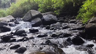 Mountain River sound Relaxation With Bird Chirping for yoga amp Meditation to relieve stress [upl. by Arsi790]