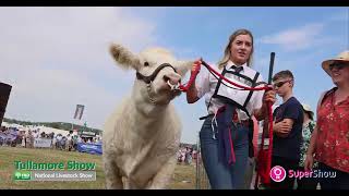 Tullamore Show 2022  FBD National Livestock Show  Agricultural Show Ireland [upl. by Macgregor104]