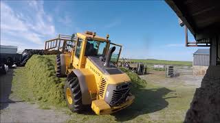 Silage 2017 Galway [upl. by Aiepoissac761]