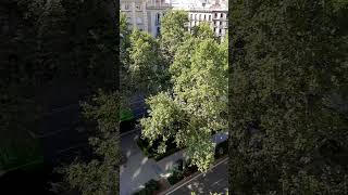 Passeig de Gràcia Caddesi  Barcelona  Katalonya  İspanya [upl. by Polky]