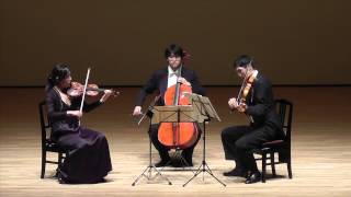 JSBach  Goldberg Variations arranged for string trio by Dmitry Sitkovetsky [upl. by Nileve]