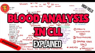 Blood analysis in CHRONIC LYMPHOCYTIC LEUKEMIA Explained Diagnostic algorithm [upl. by Icrad]