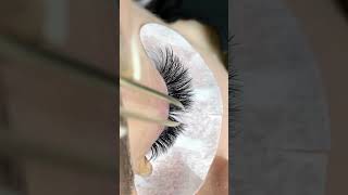 Volume Eyelash Extensions Using Premade fans lashextension [upl. by Ramberg678]