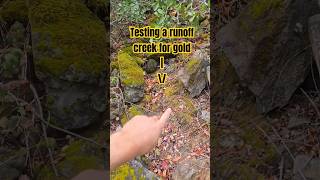 Testing a runoff creek for gold [upl. by Alimrahs]