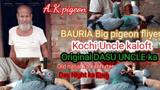 WB Howrah Bauria khajuri Big pigeon 💥 fliyer kochi uncle ka original  dasu uncle ka kabhuter [upl. by Ransell]