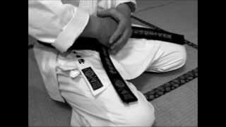 Shotokan Karate Do [upl. by Colwin]