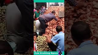 The Process Of Packing Kiwifruit Into Bags [upl. by Stoughton807]