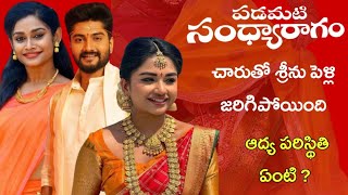 Padamati sandhya ragam serial New twist in story line  adhya srinu marriage episodes [upl. by Nasho]