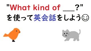 英語を話す練習162 英検4級レベル quotWhat kind of food do you likequot quotI like quot 小学生英語英会話編 [upl. by Okin]