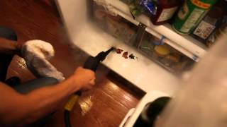 How to Steam Clean Refrigerator and Freezer  Daimer Steam Cleaners [upl. by Sucramal]