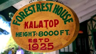 Kalatop Sanctuary। Forest Rest house। Dalhousie Oct 2021 [upl. by Hamil]