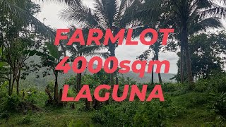 FARM LOT 4000sqm over looking LAGUNA [upl. by Reerg]