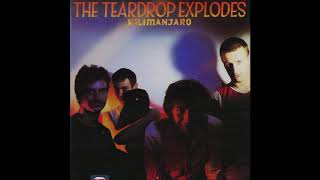 The Teardrop Explodes  Treason [upl. by Bern]