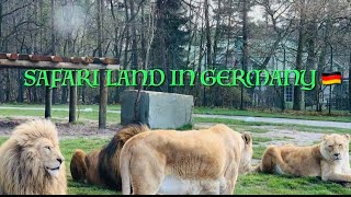 Germany Animals Park in tamil  Zoo Safaripark  Zoo Safaripark Stukenbrock Paliny Samayal 🇩🇪 [upl. by Meghan]