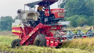 Swaraj harvester working in mud  harvester   tractor [upl. by Erich457]