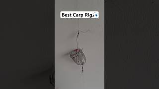 The Ultimate Carp Fishing Rig Guide [upl. by Dianemarie]