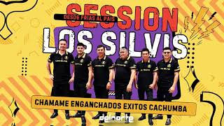 ENGANCHADOS DE CHAMAME DE CACHUMBA  LOS SILVIS 2024 [upl. by Salomo]