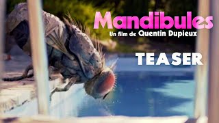 Mandibules  Official Teaser Trailer  HD  2020  ComedyFantasy [upl. by Bertold]