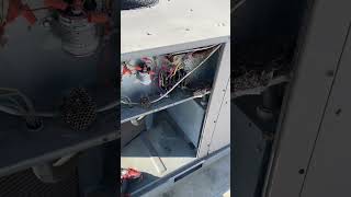 Hornet nest in RTU hvac [upl. by Yerxa667]