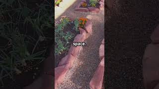 Square Foot Gardening Maximize Your Harvest gardentips garden growyourownfood vegies foryou [upl. by Idihsar]