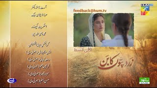 Zard Patton Ka Bunn  Episode 24 Teaser   Sajal Ali amp Hamza Sohail   HUM TV [upl. by Willett663]