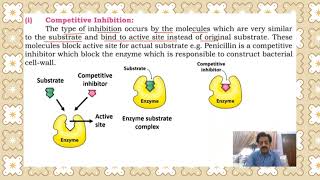 Chapter 2  First year Biology  Enzymes Part 11 Enzyme inhibition  Sindh Text Board [upl. by Nnylram410]