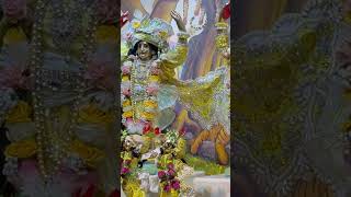 Iskcon Alachua Darshan [upl. by Enirhtac]