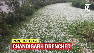 Hailstorm Chandigarh amp Mohali  Hail Storm  Chandigarh City travel trending [upl. by Yemar]