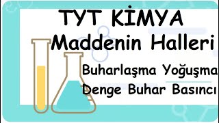 Sıvılar Buharlaşma Yoğuşma ve Denge Buhar Basıncı Maddenin Halleri TYT9Sınıf Kimya Video 36 [upl. by Akkahs]