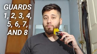 Beard Trimming Length Examples With Hair Clippers 18 Guards [upl. by Lorollas]