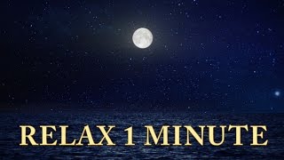 Relax 1 min  Sunset Ocean Moon  Relaxing Music [upl. by Idram]