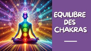 Equilibre des chakras Comprendre les chakras [upl. by Icnarf984]