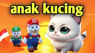 anak kucing  Lagu anak anak Cicak cicak didindinganak kucing meong meong lagu anak indonesia [upl. by Dnalyar645]