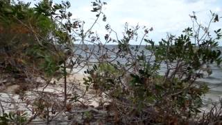 Camp Cruising our Goat Island Skiff on the Indian River Lagoon [upl. by Noyar]