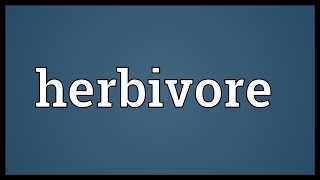 Herbivore Meaning [upl. by Umont616]