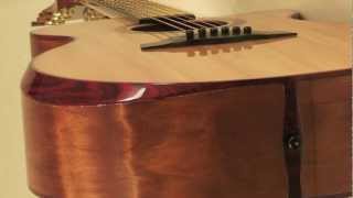 Laurie Williams Tui Guitar at Nashvilles Guitar Gallery [upl. by Sirrep]