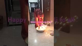 Deepawali calibration 2024 [upl. by Sherrod]