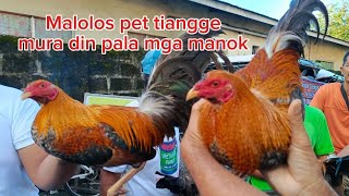 MURA DIN PALA MANOK SA MALOLOS TIANGGEANMALOLOSPETMARKETBAKWITTV [upl. by Cnut]