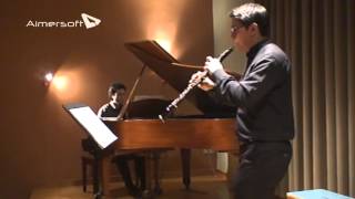 WA Mozart  Oboe Concerto in C Major KV 314 [upl. by Eelatan]