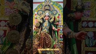 Sarbaria Pally Saba Samiti 2024 viralvideos prasantapalstudio jagadhatripuja joynagar [upl. by Joselow]