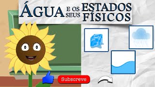 Vamos Aprender Água e os seus Estados Físicos Estudo do Meio  1º Ciclo  Português de Portugal [upl. by Drugge]