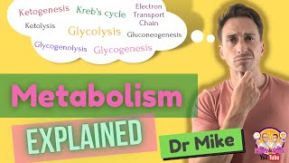 Metabolism Overview [upl. by Pierpont]