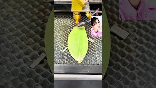 A leaf production process leaf engraving machine stall shorts [upl. by Newo]