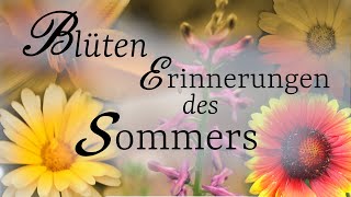 Melancholische Erinnerungen an die Sommerblüten  zum Entspannen MusikClip quotLast Choralquot [upl. by Hieronymus]