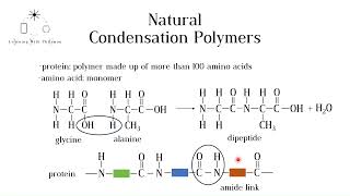 Natural Condensation Polymers Proteins and Carbohydrates GCSE Chemistry [upl. by Atse]