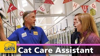 A day in the life of a Cat Care Assistant  Behind the scenes at our Glasgow Adoption Centre [upl. by Jodi]