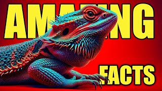 Bearded Dragon as a Pet 10 Facts about Bearded Dragons [upl. by Nivrac615]